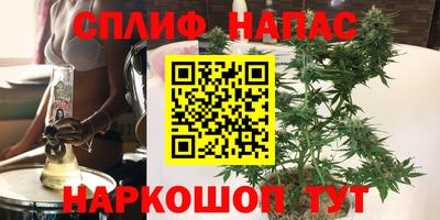 молекула духа Жуковский