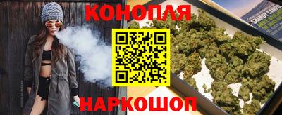 гидропоника Заводоуковск