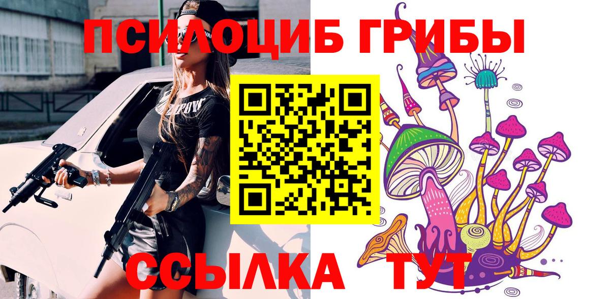 Галлюциногенные грибы Psilocybine cubensis  Галлюциногенные грибы мухоморы  Вход с VPN  Ленинск-Кузнецкий 